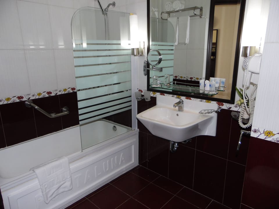 Bathtub, free toiletries, hair dryer, bidet