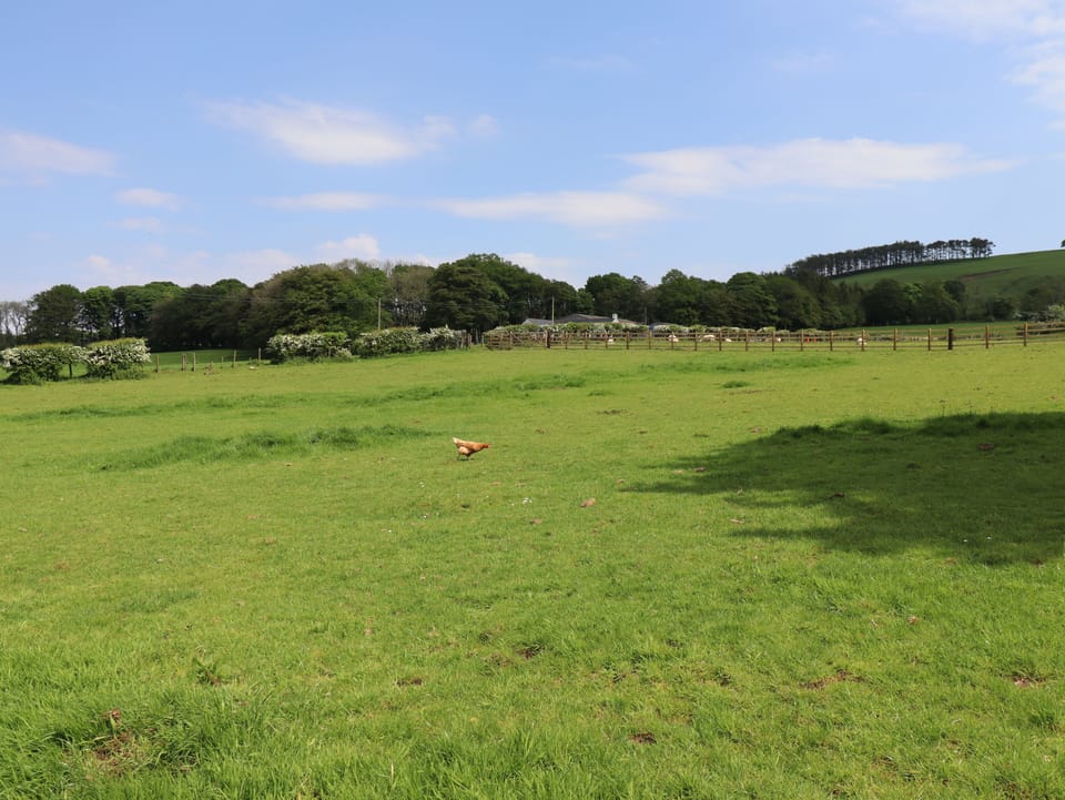 Cottage | Miscellaneous