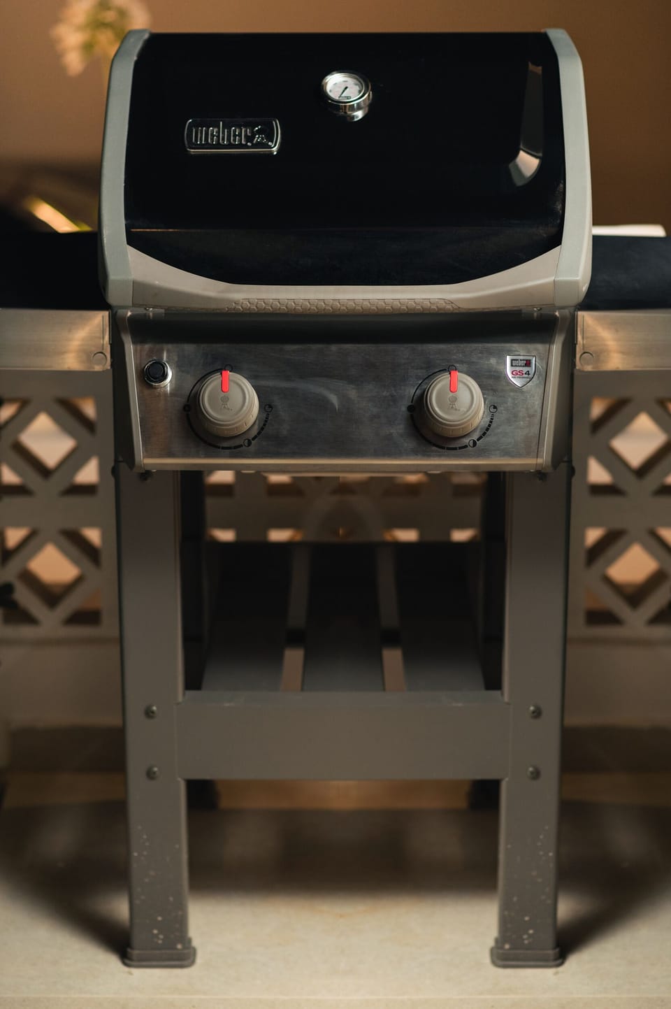 Outdoor gas grill