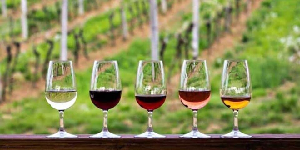Our home sit in the heart of the Seneca Lake wine trail. 
