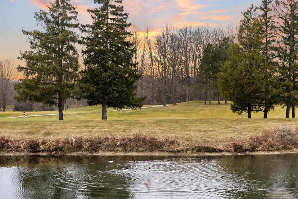 Overlooking the serene lake.