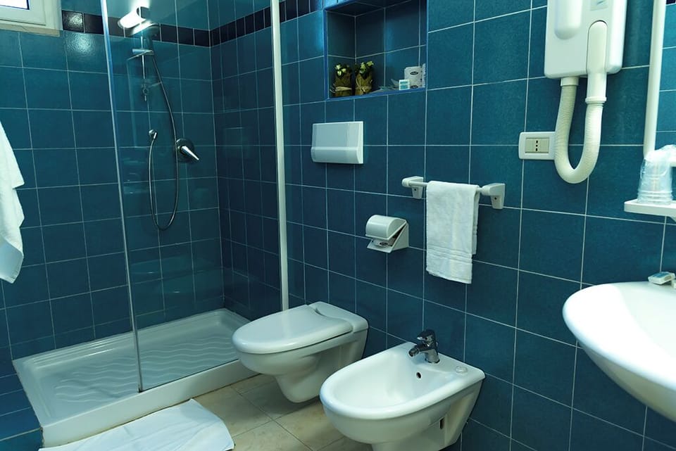 Shower, hair dryer, slippers, bidet