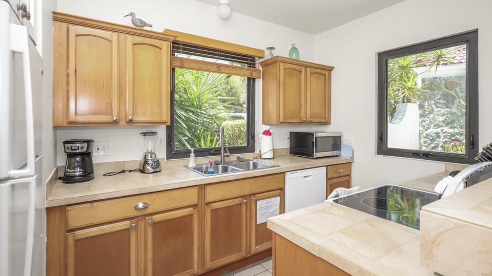 Natural light brightens the kitchen with honey wood cabinets, tiled counters, double sink, and black-framed windows.
