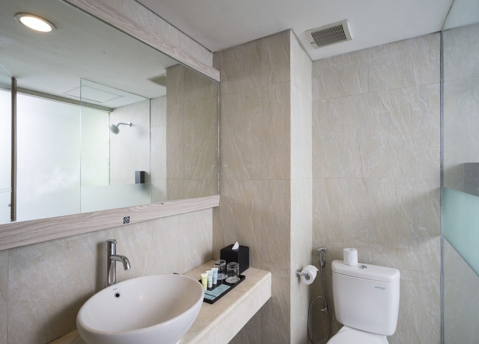 Shower, free toiletries, hair dryer, slippers