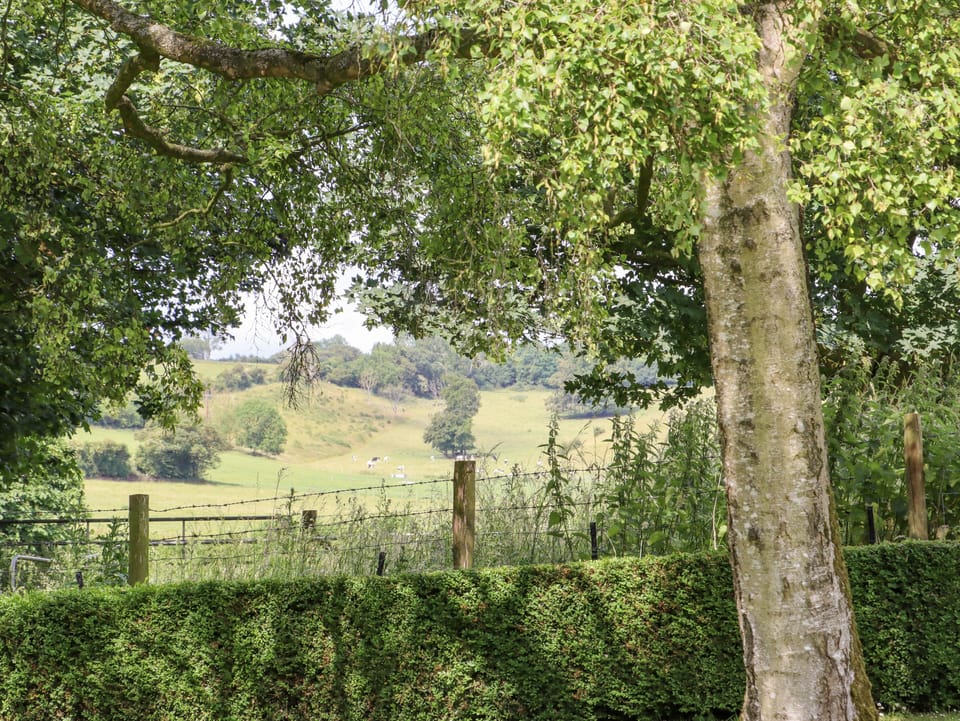 Cottage | Miscellaneous