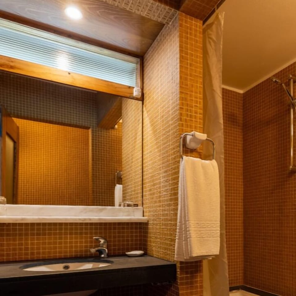Hair dryer, towels, shampoo, toilet paper