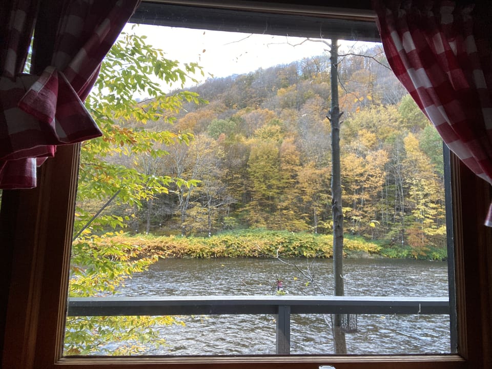 Living room view