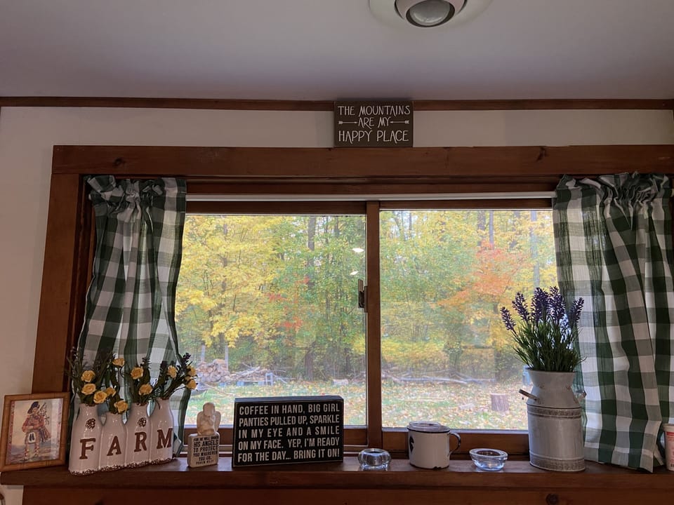 Kitchen View
