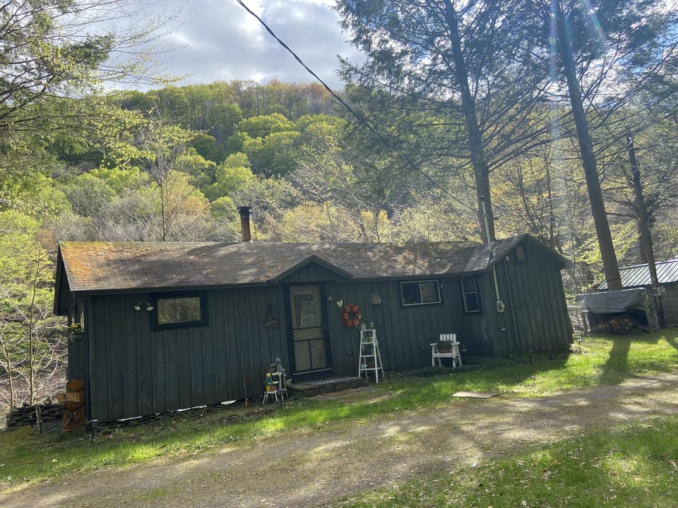 The Cabin