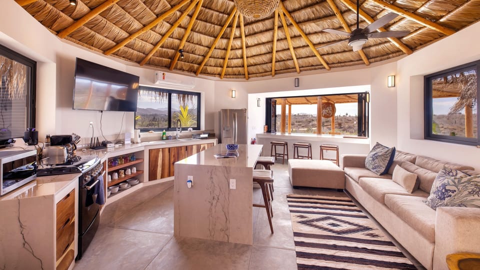 Indoor living palapa