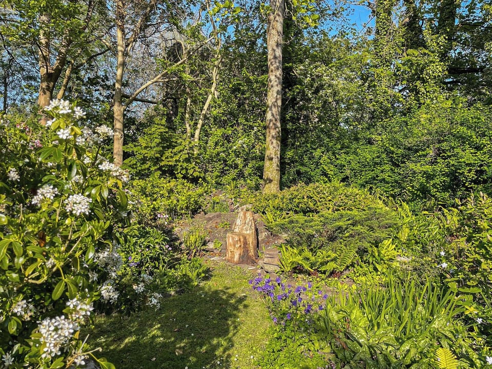 Garden | Priory Stile, Haverfordwest