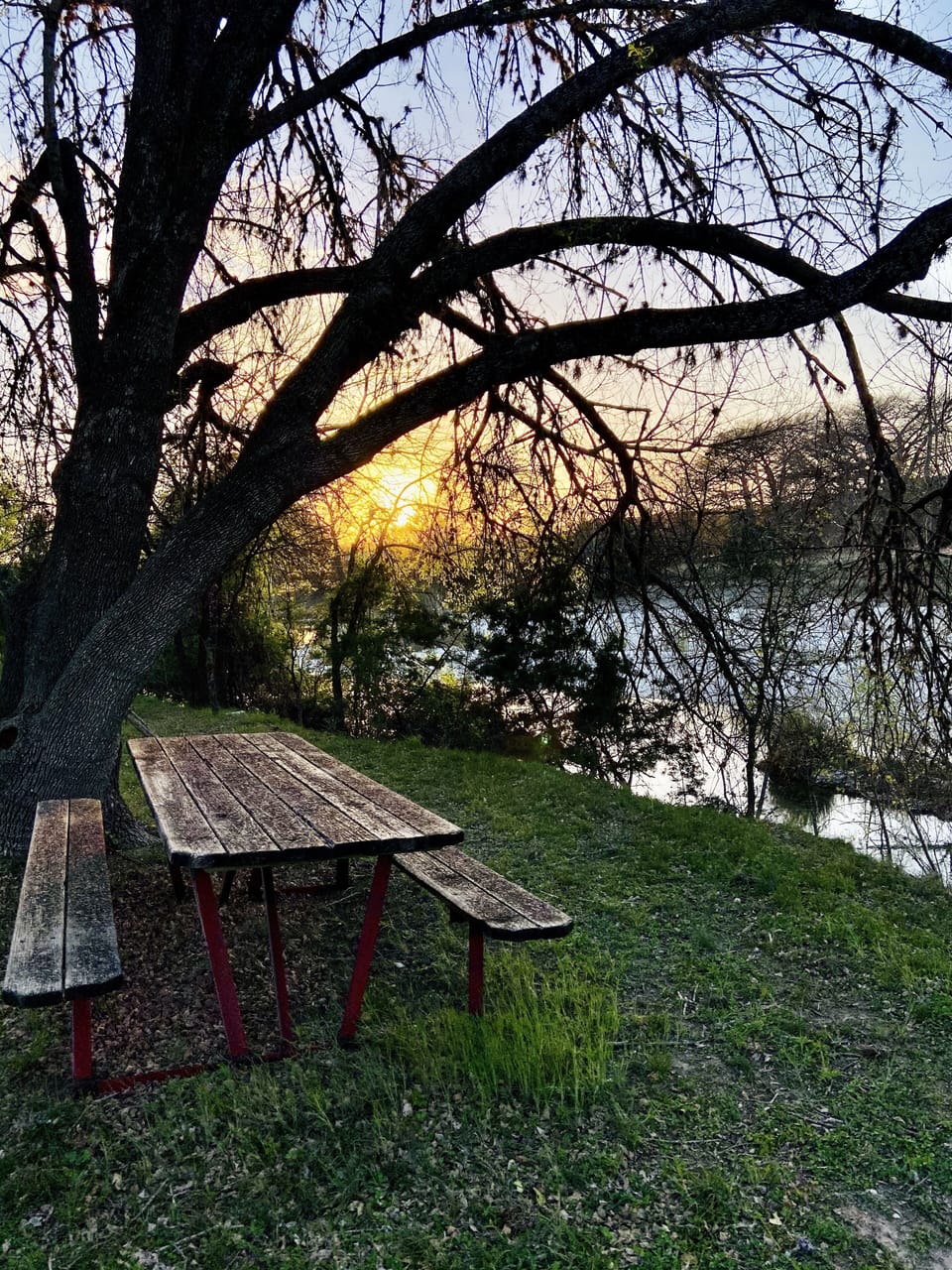 Early Spring