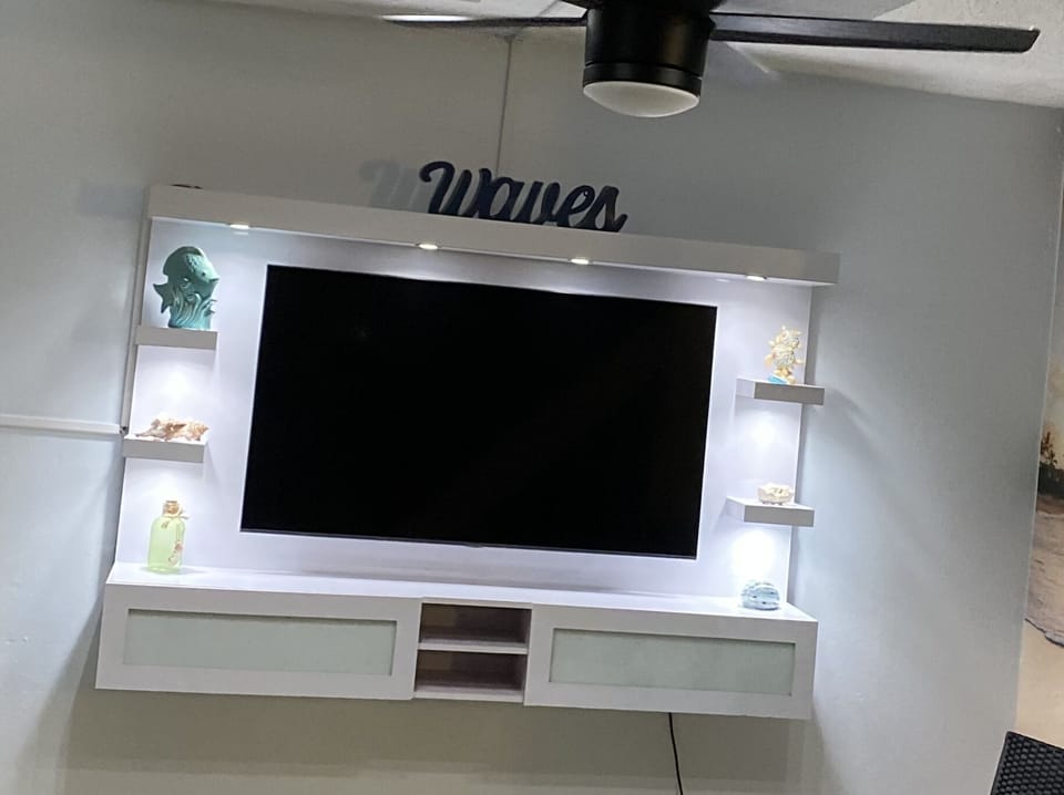 Television