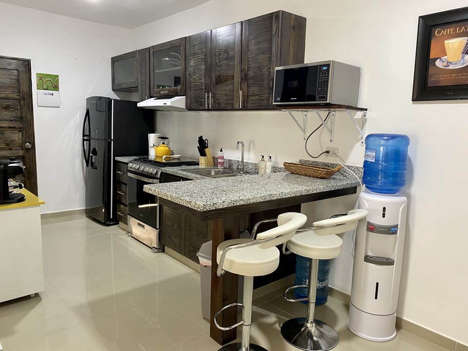 Comfort Apartment, 2 Bedrooms | Private kitchen