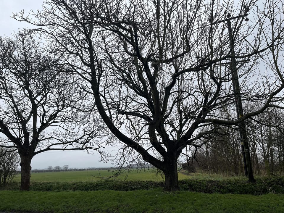 Image 22