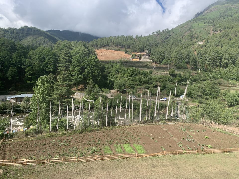 View from property