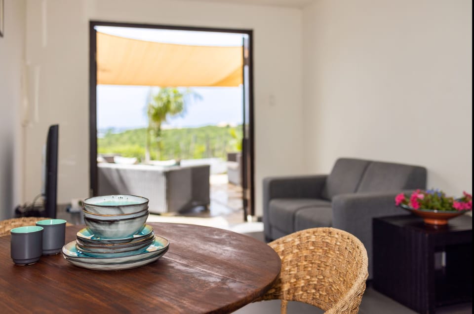 Apartment, 1 Bedroom, Smoking, Terrace | Living room