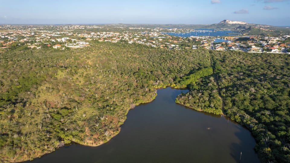 Apartment, 1 Bedroom, Smoking, Terrace | View from property