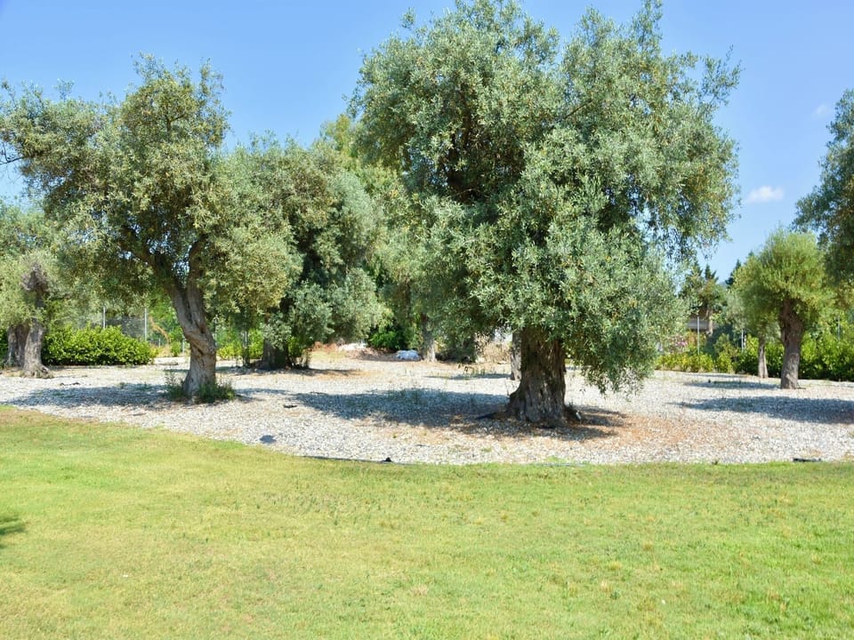 Villa, 6 Bedrooms, Private Pool, Garden View | Miscellaneous