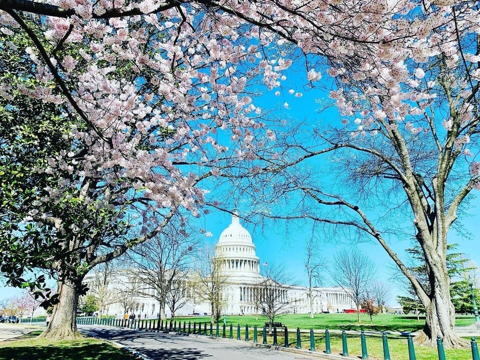 Less than a 20 minute walk to the Capitol 