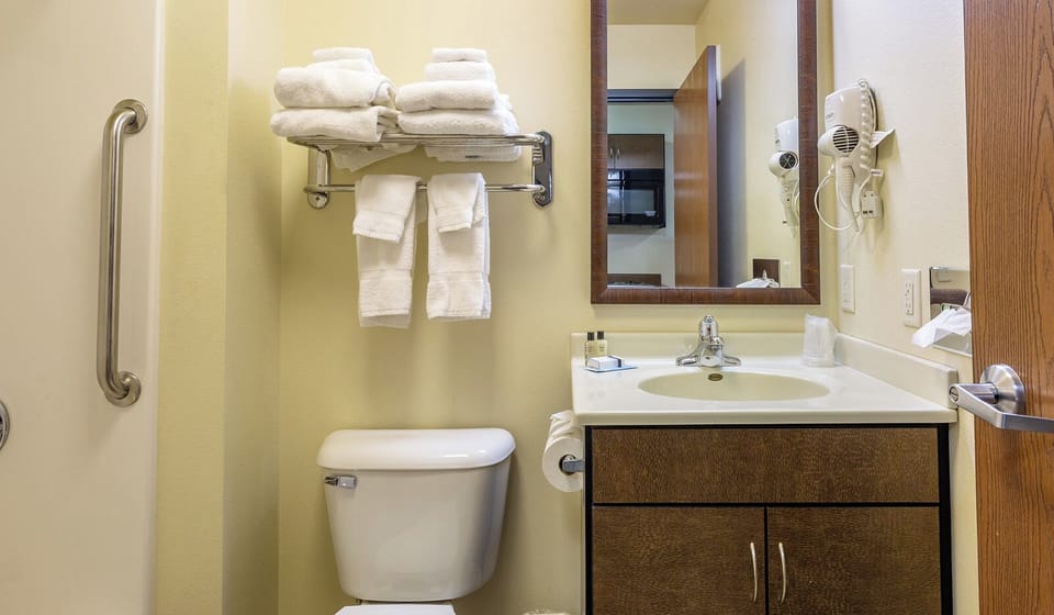 Combined shower/tub, free toiletries, hair dryer, towels