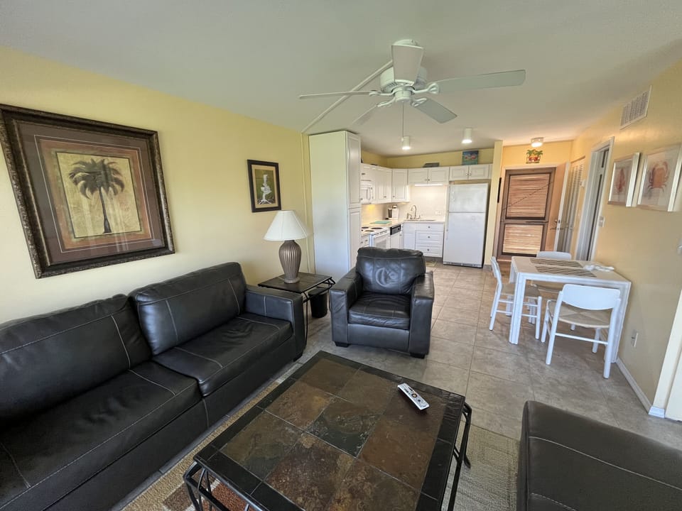 Living room and kitchen view.Pullout Queen sofa. 