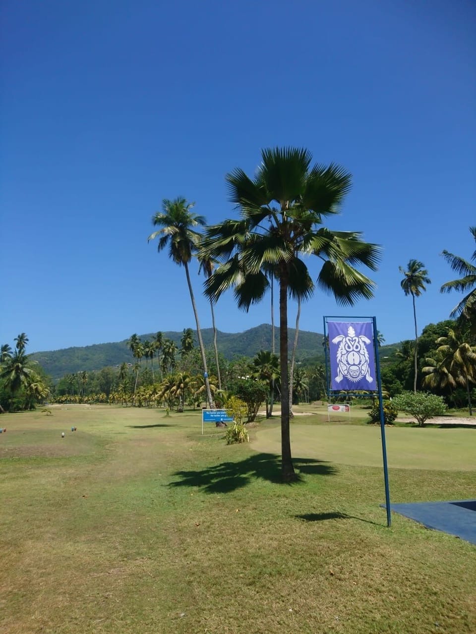 Golf