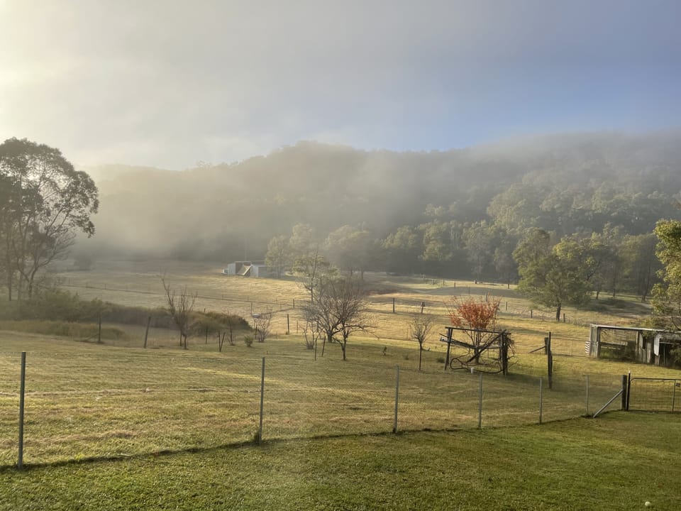 morning mist in the valley