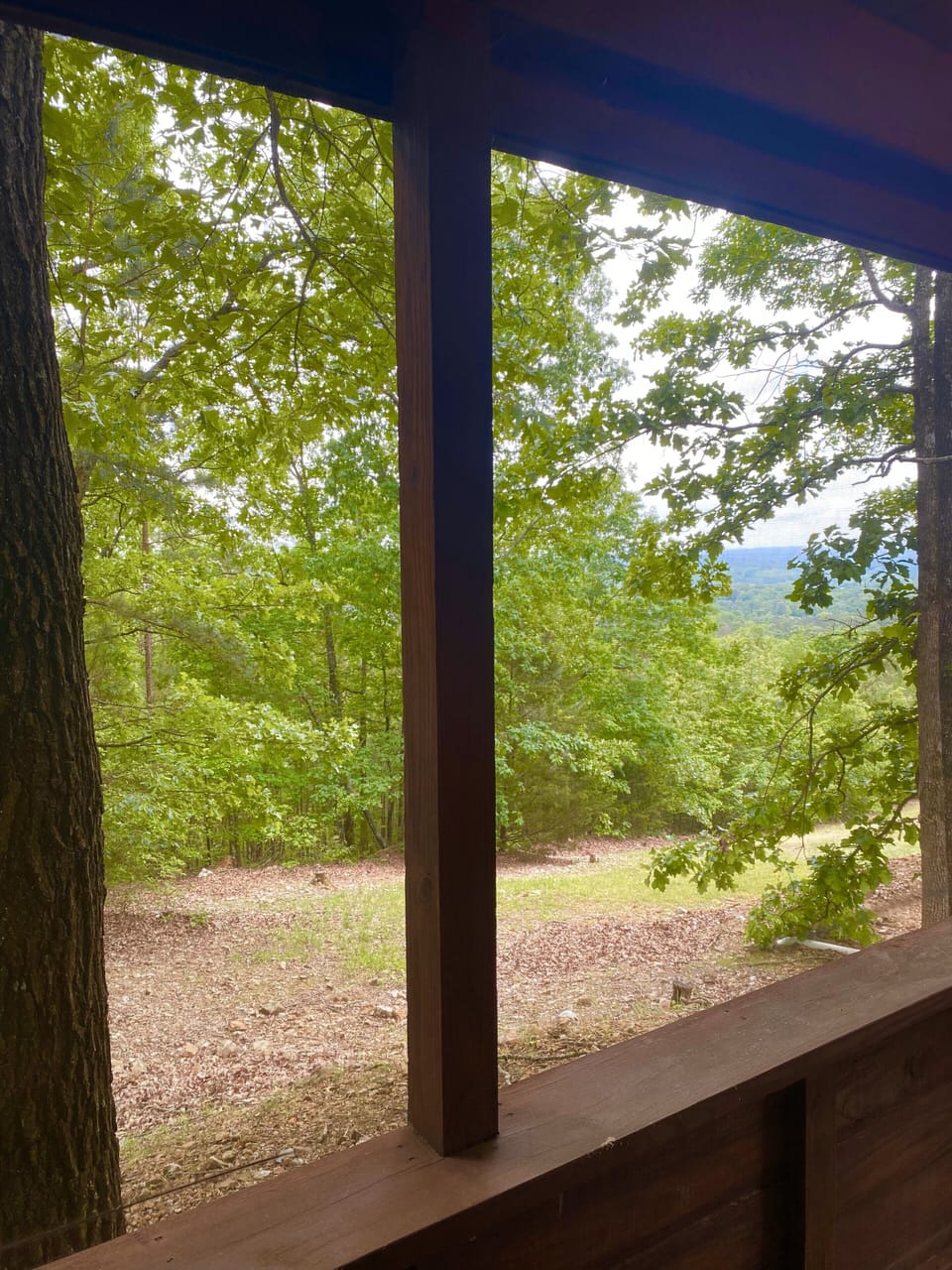 The view