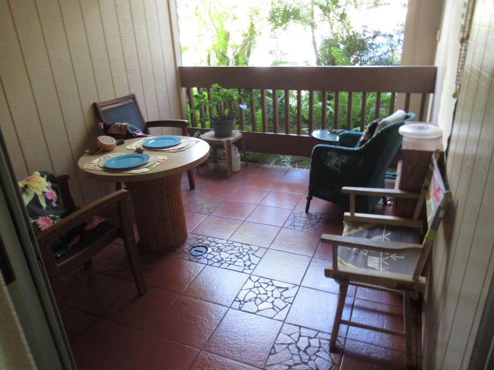 Cool afternoon on the lanai.