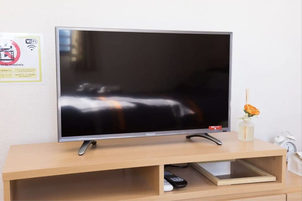 Television