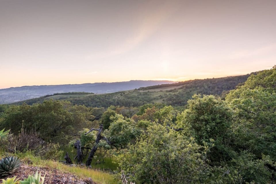 Find peace within the views of the beautiful hills of wine country.