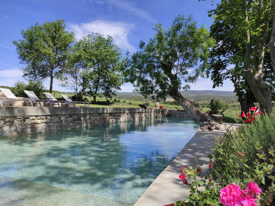 Piscine naturelle