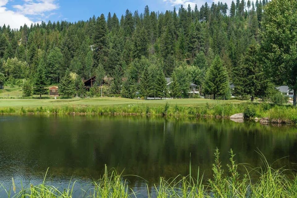 Water views in the backyard