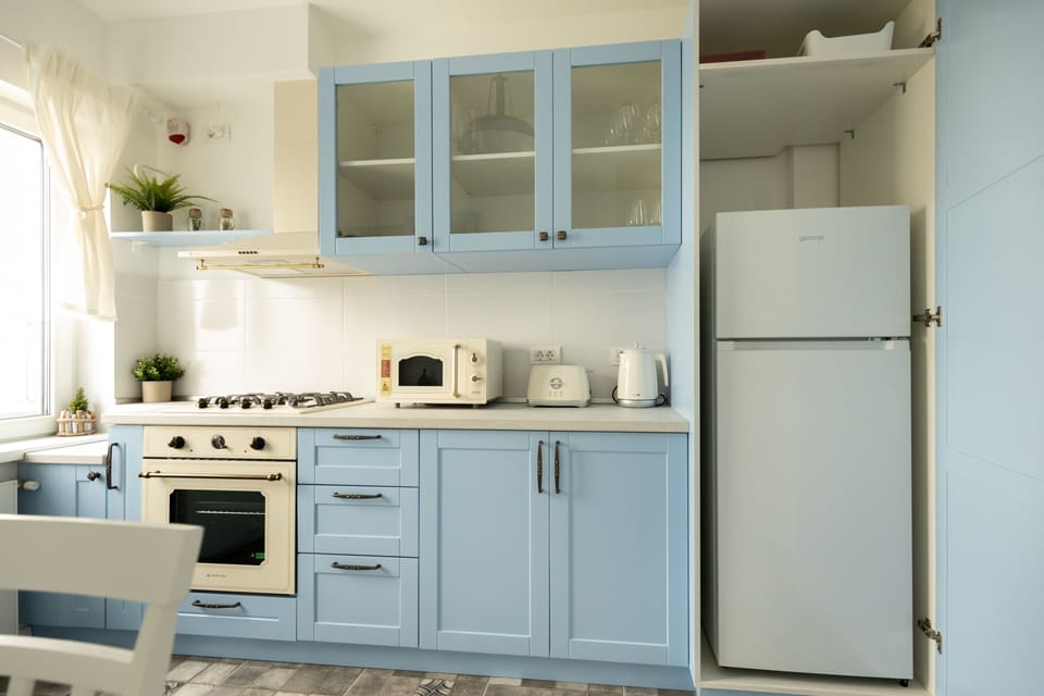 Panoramic Apartment | Private kitchen | Full-size fridge, microwave, oven, coffee/tea maker