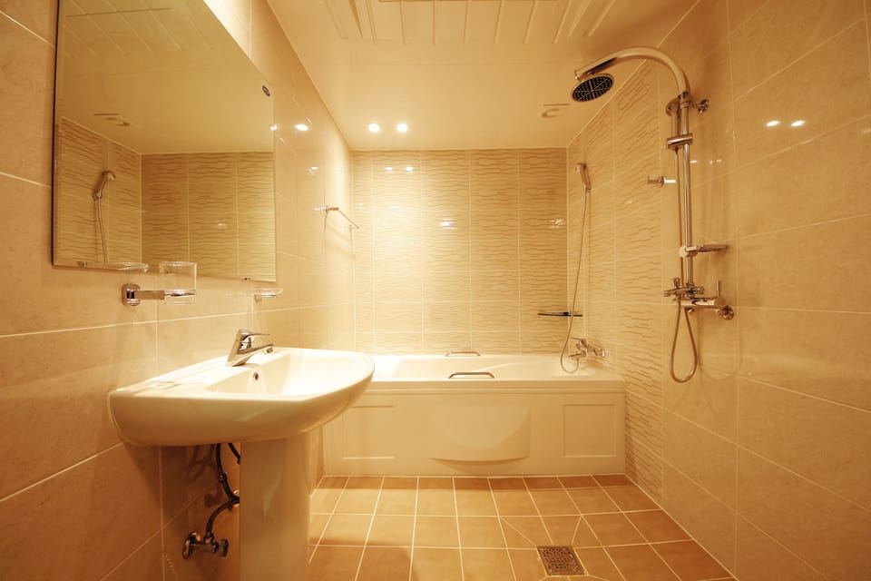 Combined shower/tub, free toiletries, hair dryer, bathrobes