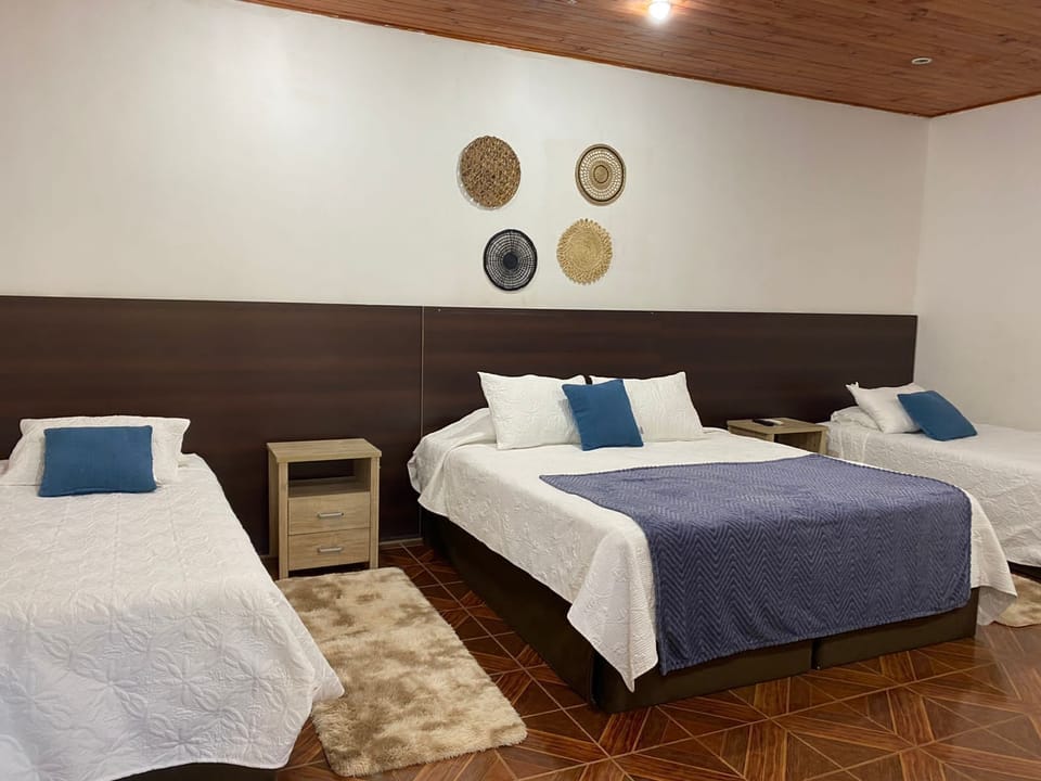Classic Single Room