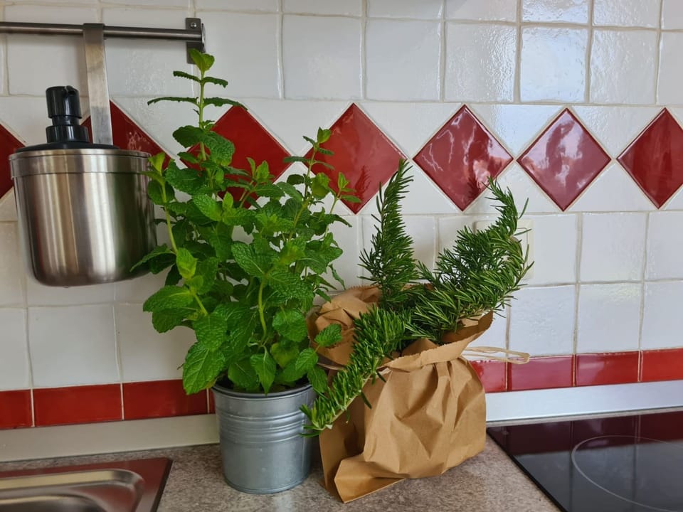Apartment (1 Bedroom) | Private kitchen | Fridge, microwave, oven, stovetop