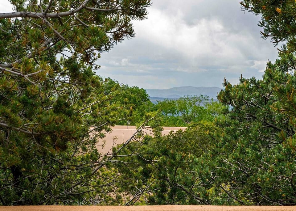 Backyard View