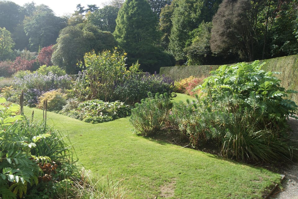 House | Property grounds