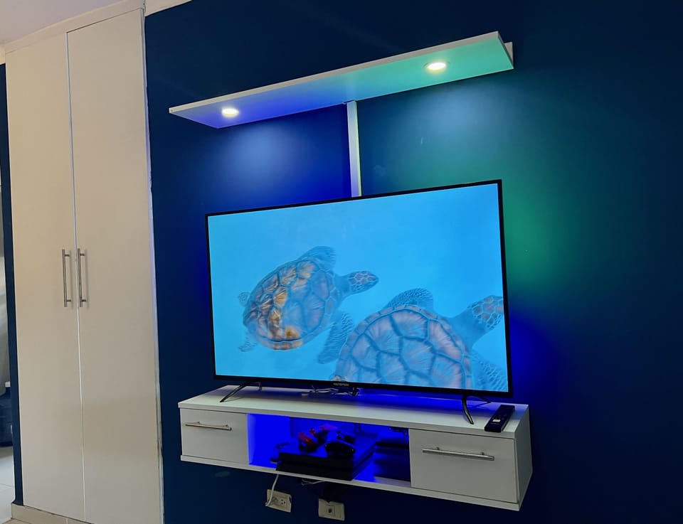 Television