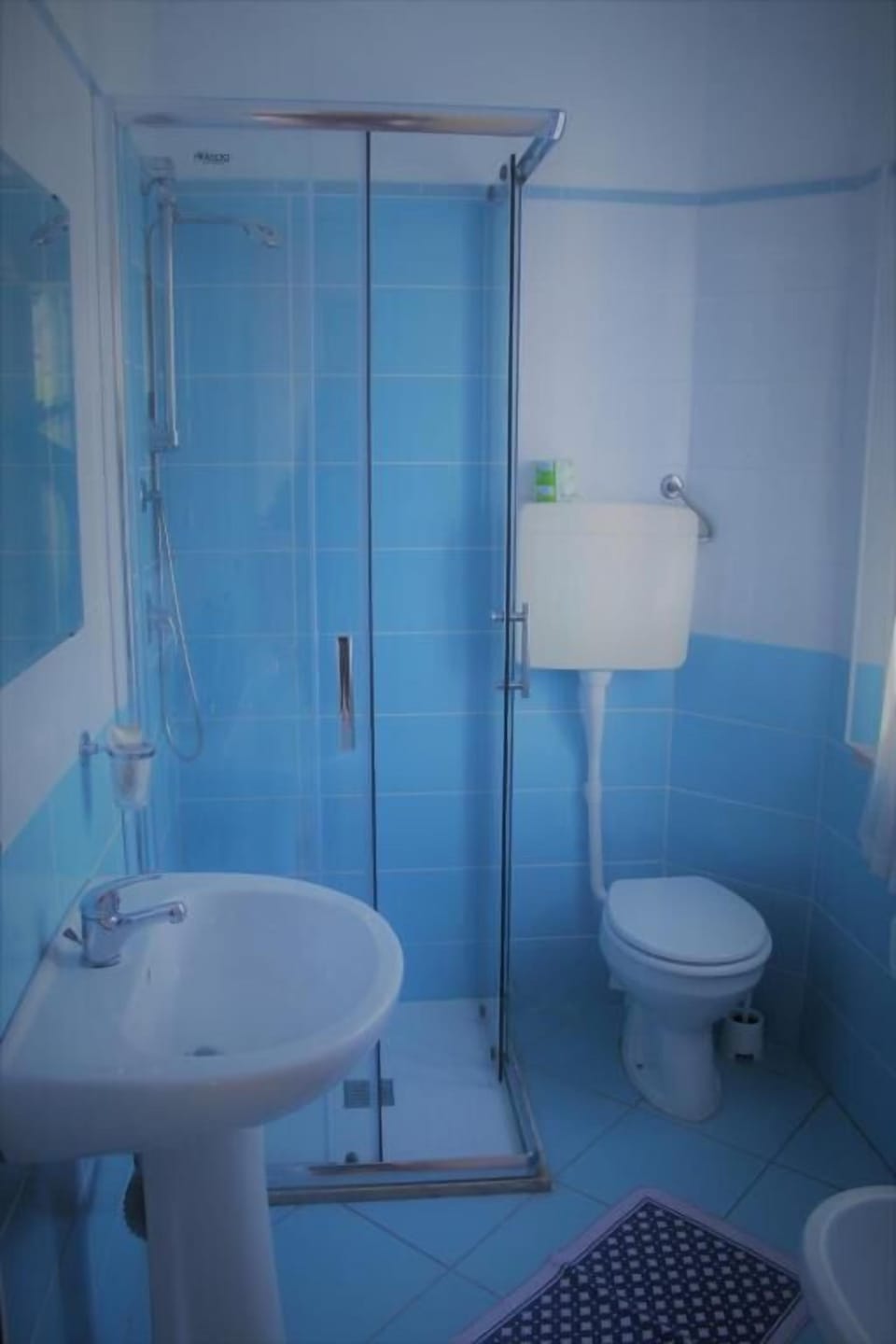 Hair dryer, bidet