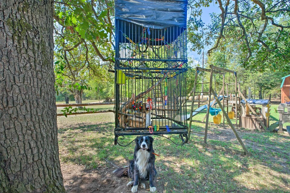 House (0 Bedroom) | Interior
