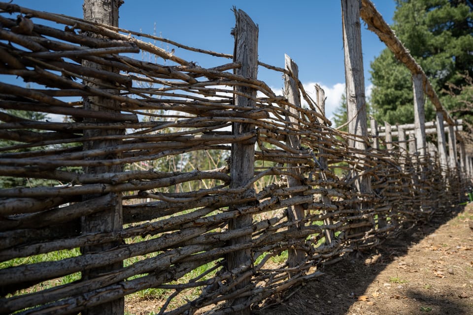 View of cottage garden. 