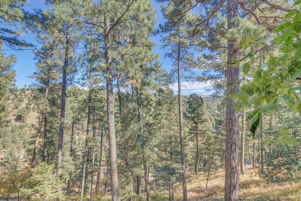 Apartment (0 Bedroom) | Interior