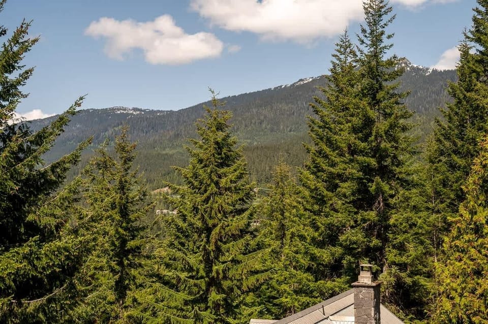 - Stunning Whistler mountain view framed by tall evergreens  
- Clear blue sky and lush forest create a peaceful backdrop  
- Perfect cabin view for morning coffee and alpine serenity  
