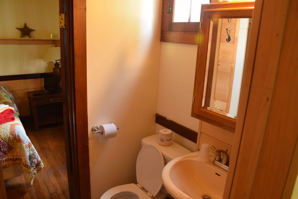 Shower, free toiletries, towels
