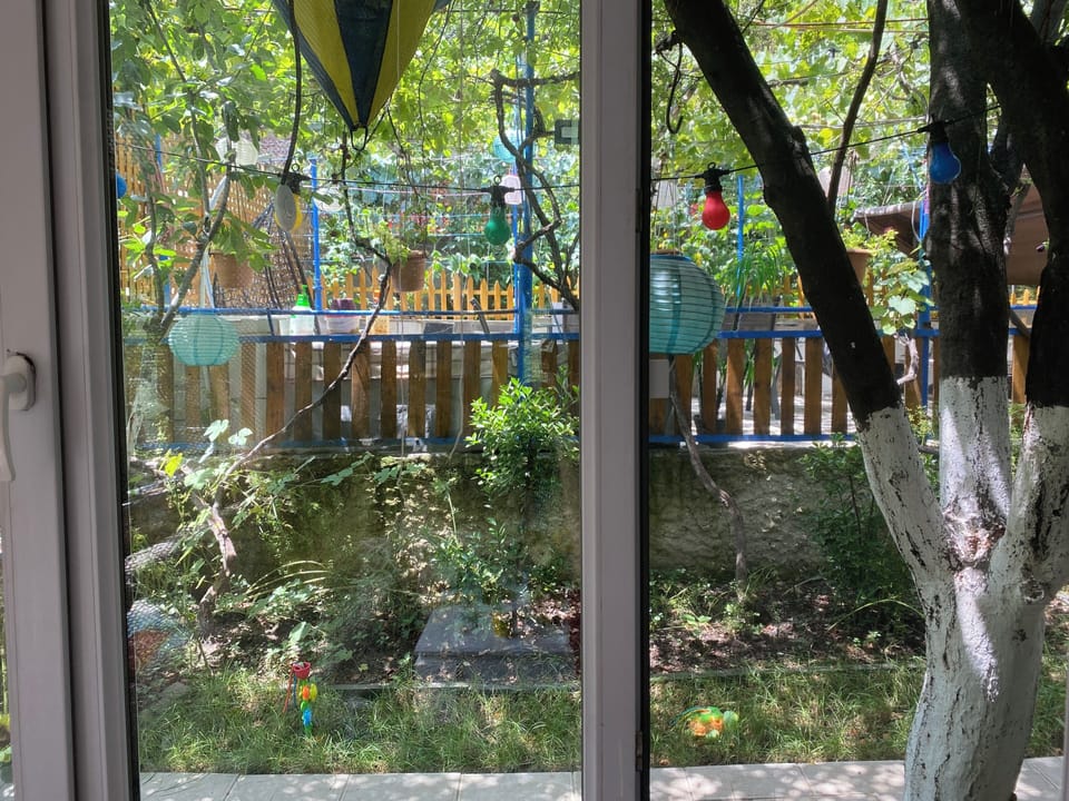 Standard Apartment, 1 Bedroom, Garden View | View from room