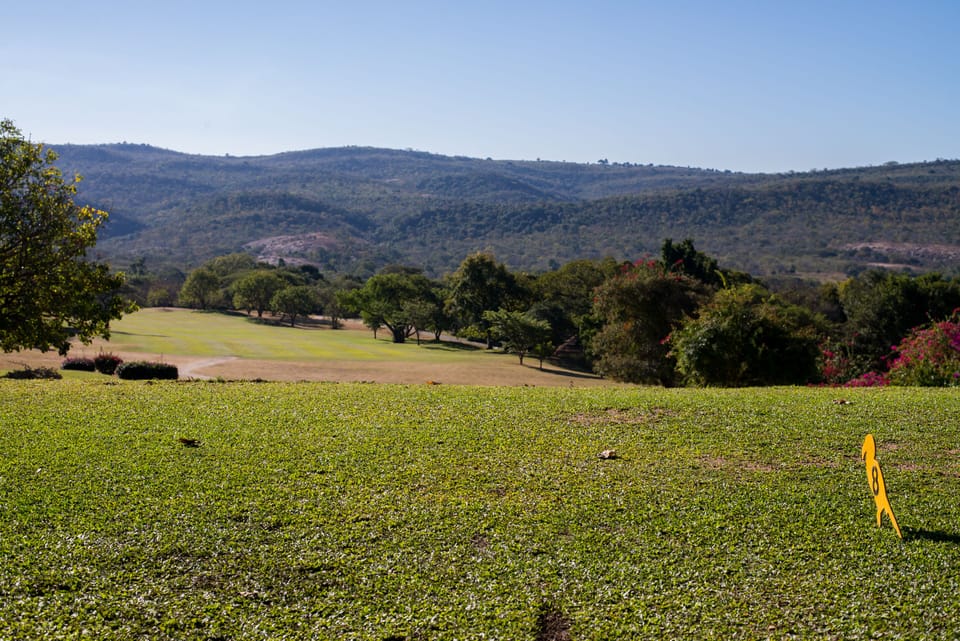 Golf view