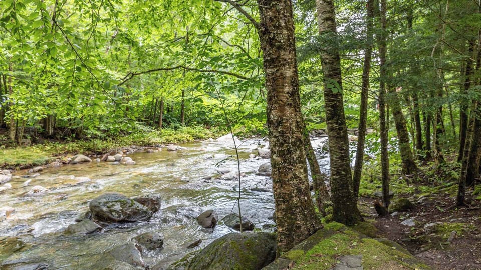 Private Outdoor Area | River Access | Fire Pit | Garden & Backyard | First Floor